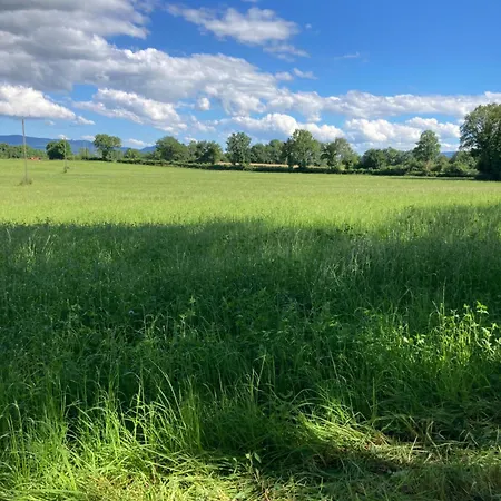 La Tiny De Papa Un Eco-responsable * Saint-Pierre-le-Chastel