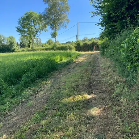 La Tiny De Papa Un Eco-responsable אכסניה