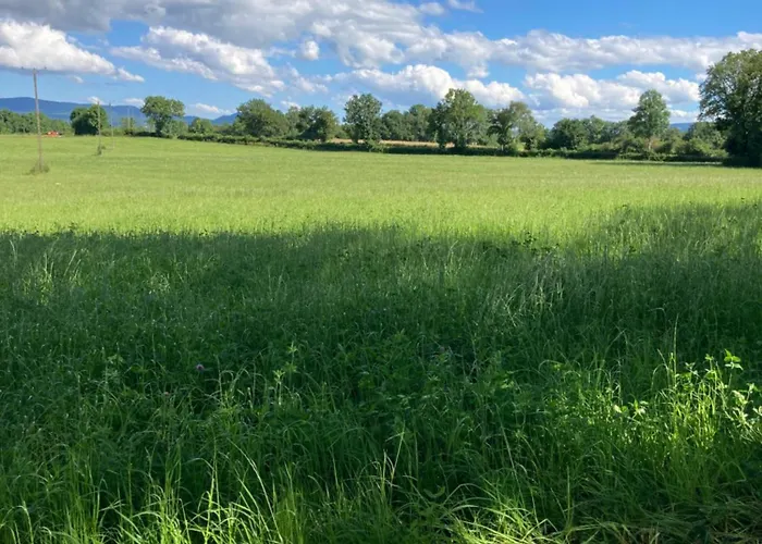 La Tiny De Papa Un Eco-responsable * Saint-Pierre-le-Chastel
