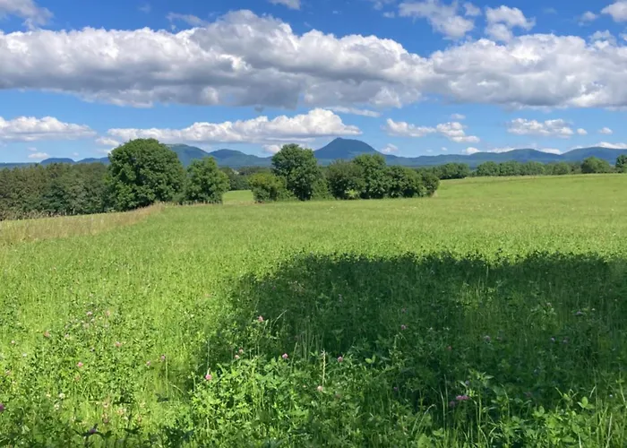 La Tiny De Papa Un Eco-responsable 山林小屋