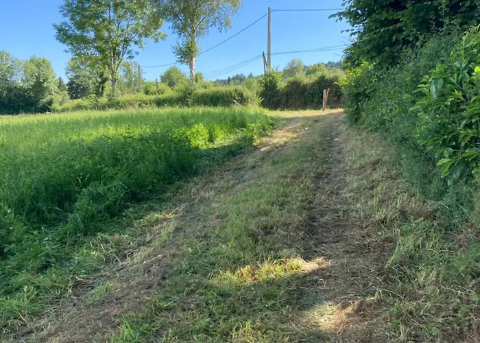 La Tiny De Papa Un Eco-responsable 山林小屋