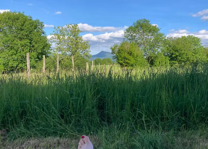 La Tiny De Papa Un Eco-responsable